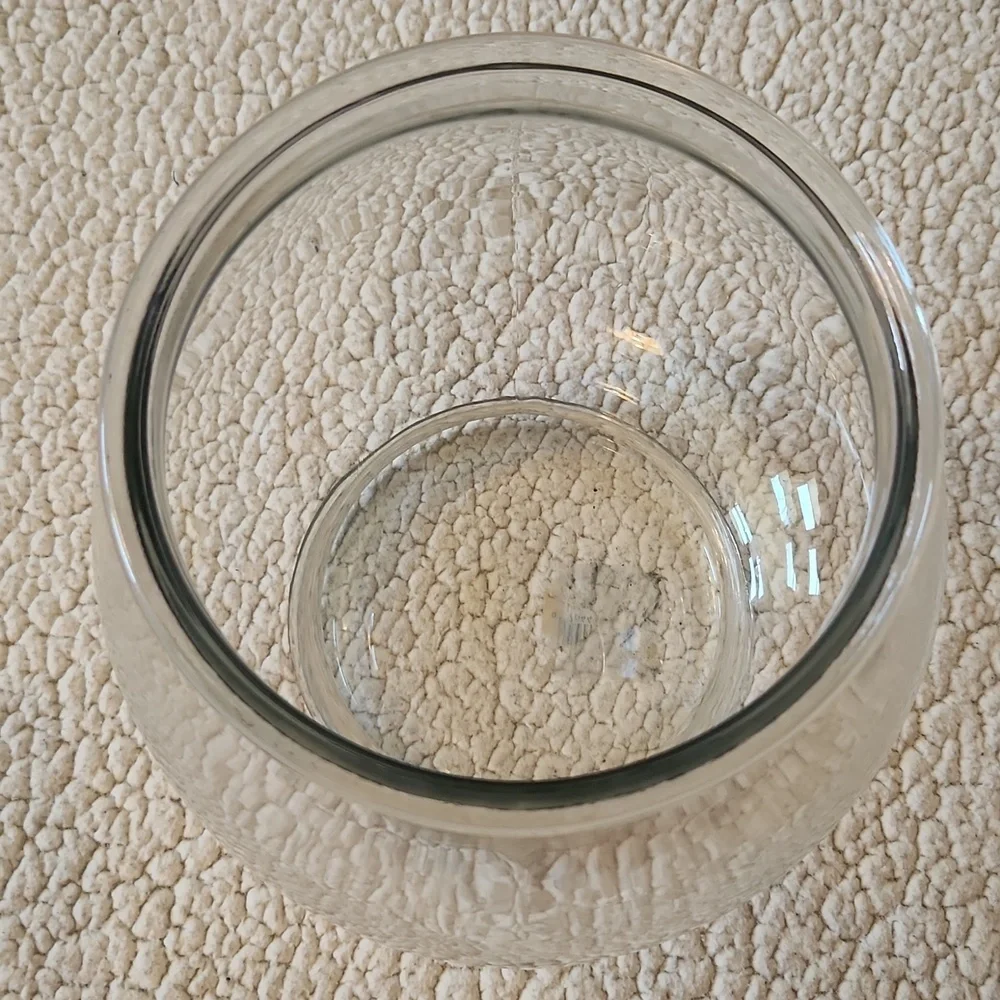 Vibrant Life Footed Glass Fish Bowl